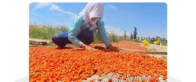 无现代化学技术干涉